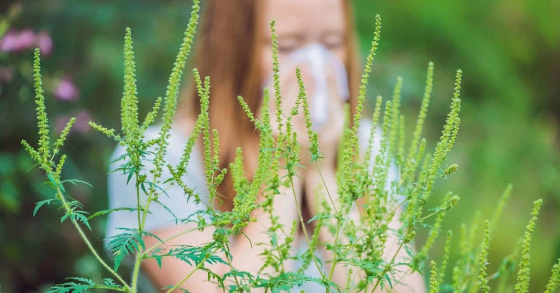 Ragweed Pollen Allergy Treatment Market To Witness Rapid Development During The Period 2021-2028