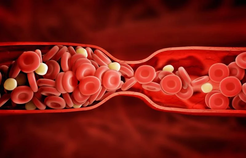 Blood Clotting Factors are involved in blood clotting and are responsible for several other health