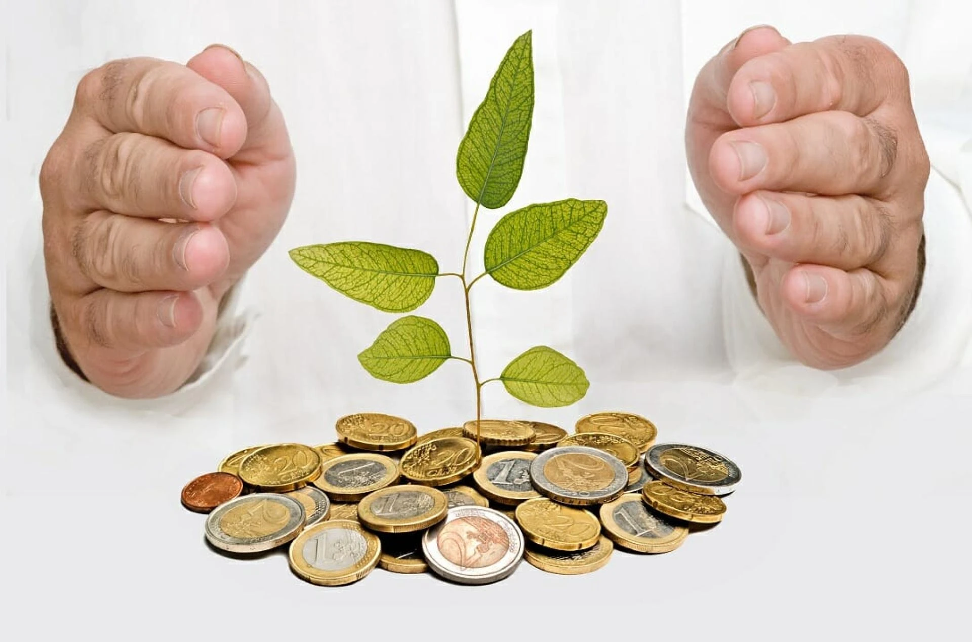Carbon Credit Market Share to Witness Steady Rise in the Coming Decade