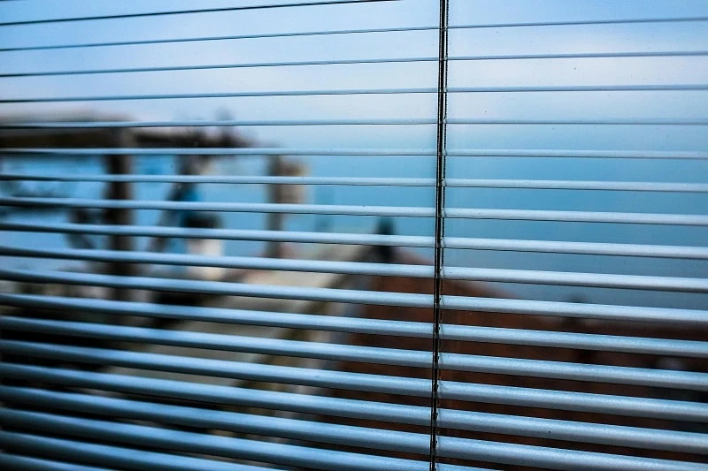 Embracing Innovation: The Fascinating World of Zebra Blinds