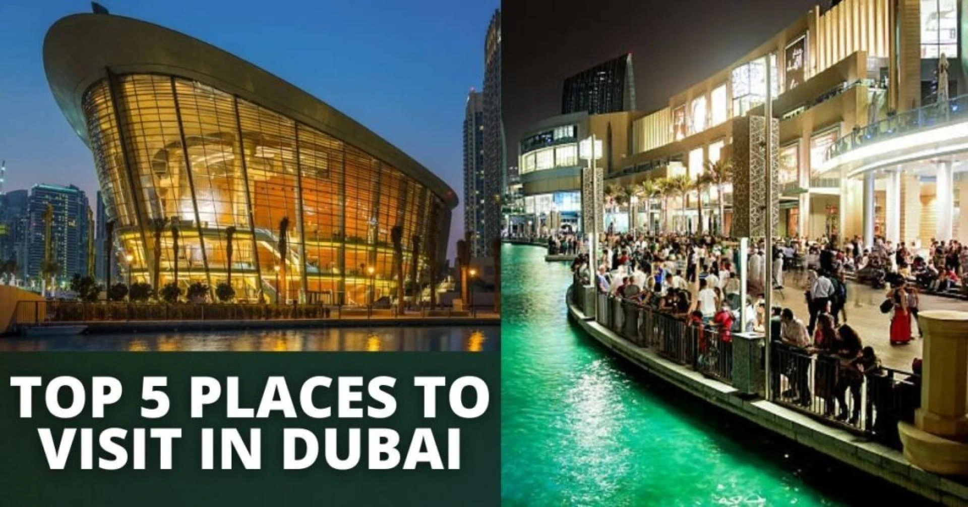 Top 5 Best Places to Holiday in Dubai