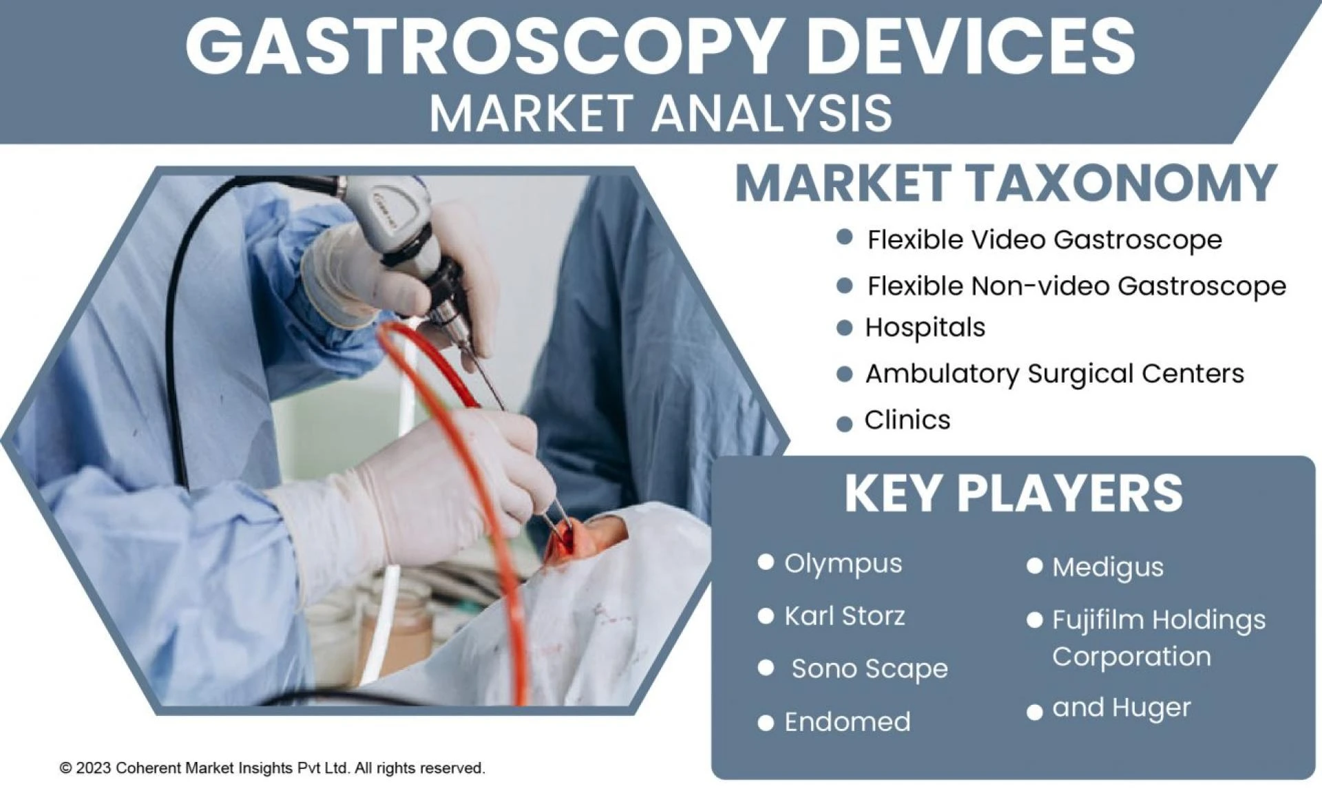 Analyzing the Gastroscopy Devices Industry: Market Size and Segmentation