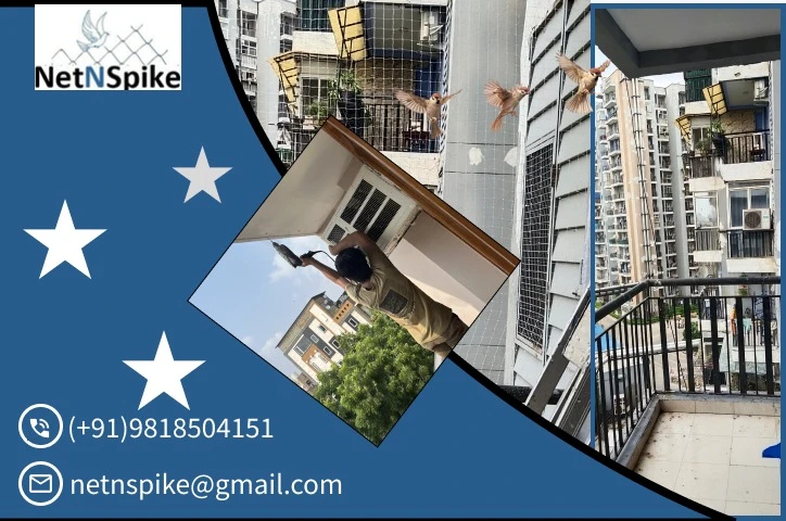 The Ultimate Guide on Bird Net for Balcony in Delhi