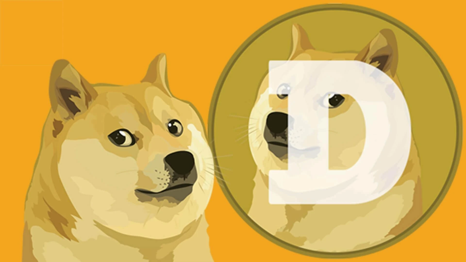 Dogecoin: The Story Behind The Elon Musk Supported Cryptocurrency