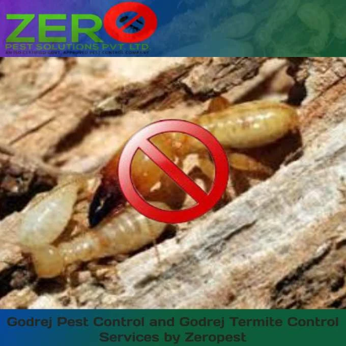 Godrej Pest Control and Godrej Termite Control Services by Zeropest