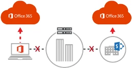 What Are the Microsoft 365 Principles for Network Connectivity?