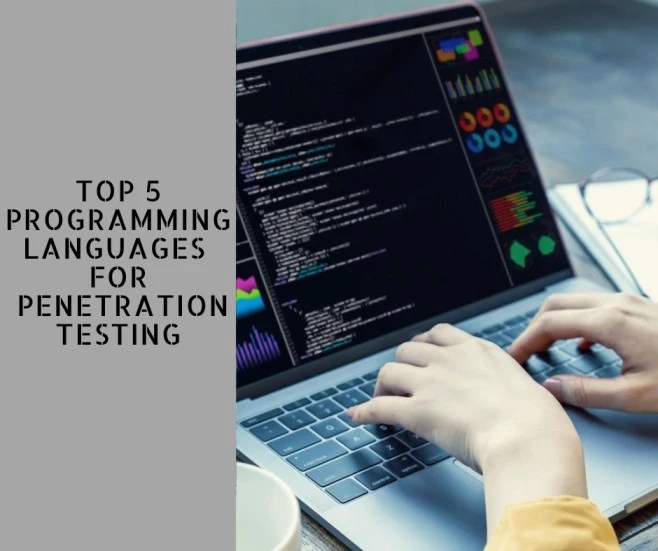 Top 5 Programming Languages for Penetration Testing
