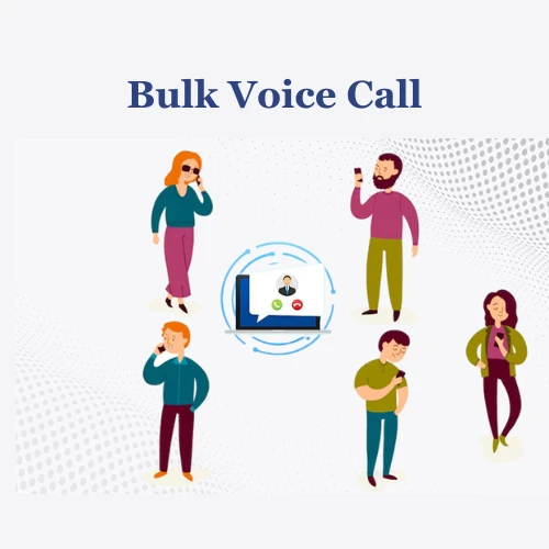 E-commerce Success through Voice Call Services