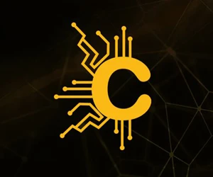 Cryptocurrency Wallet Development Service