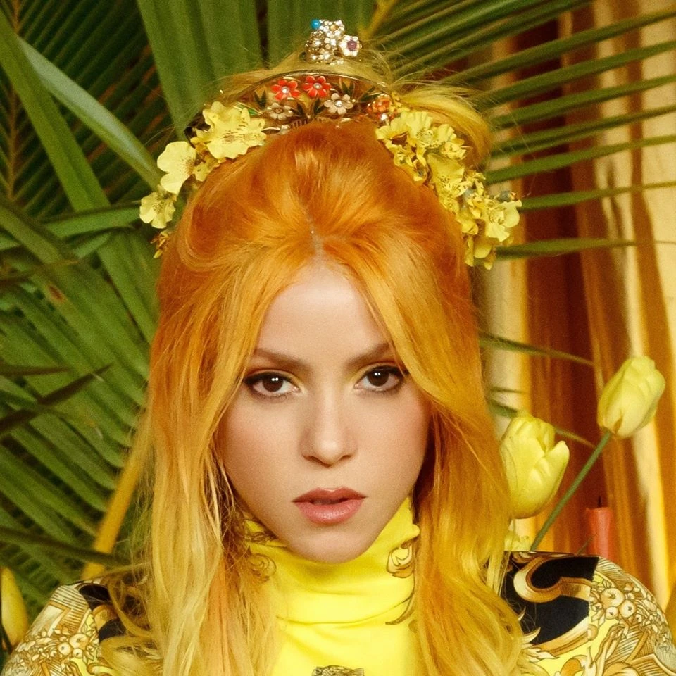 Shakira Age, Height, Net Worth, Relationships, Family and More