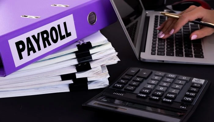 Understanding Payroll Taxes And Their Types