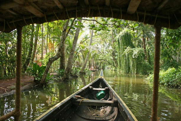 Best Kerala Backwaters