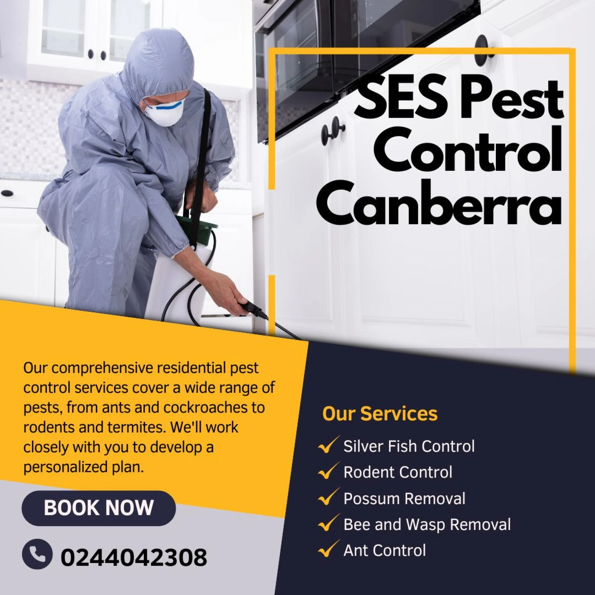 Ants at Bay: Effective Ant Control Service in Canberra