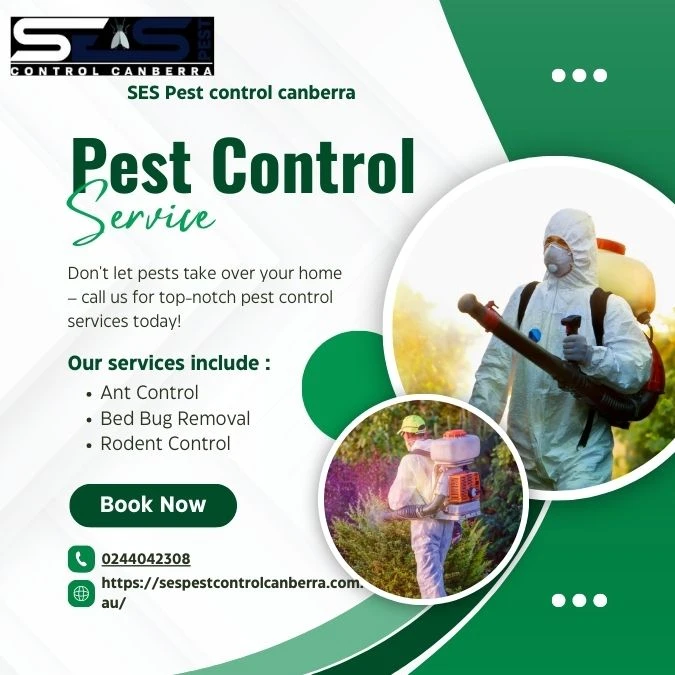Effective Pest Control Services in Canberra: Keeping Your Home and Surroundings Free from Pests