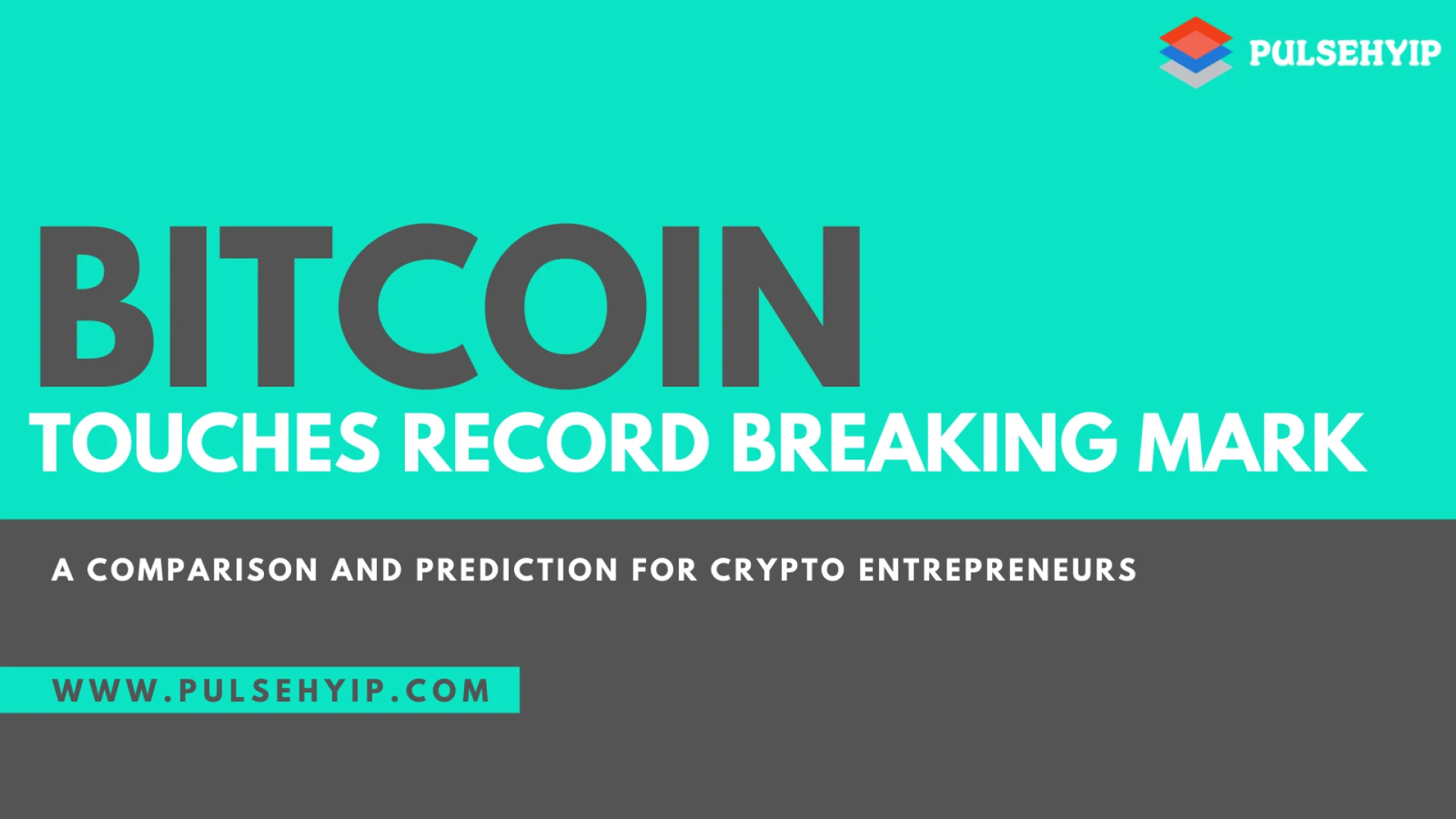 Start your Crypto Investment Business Today from Pulsehyip with 50% New Year Offer