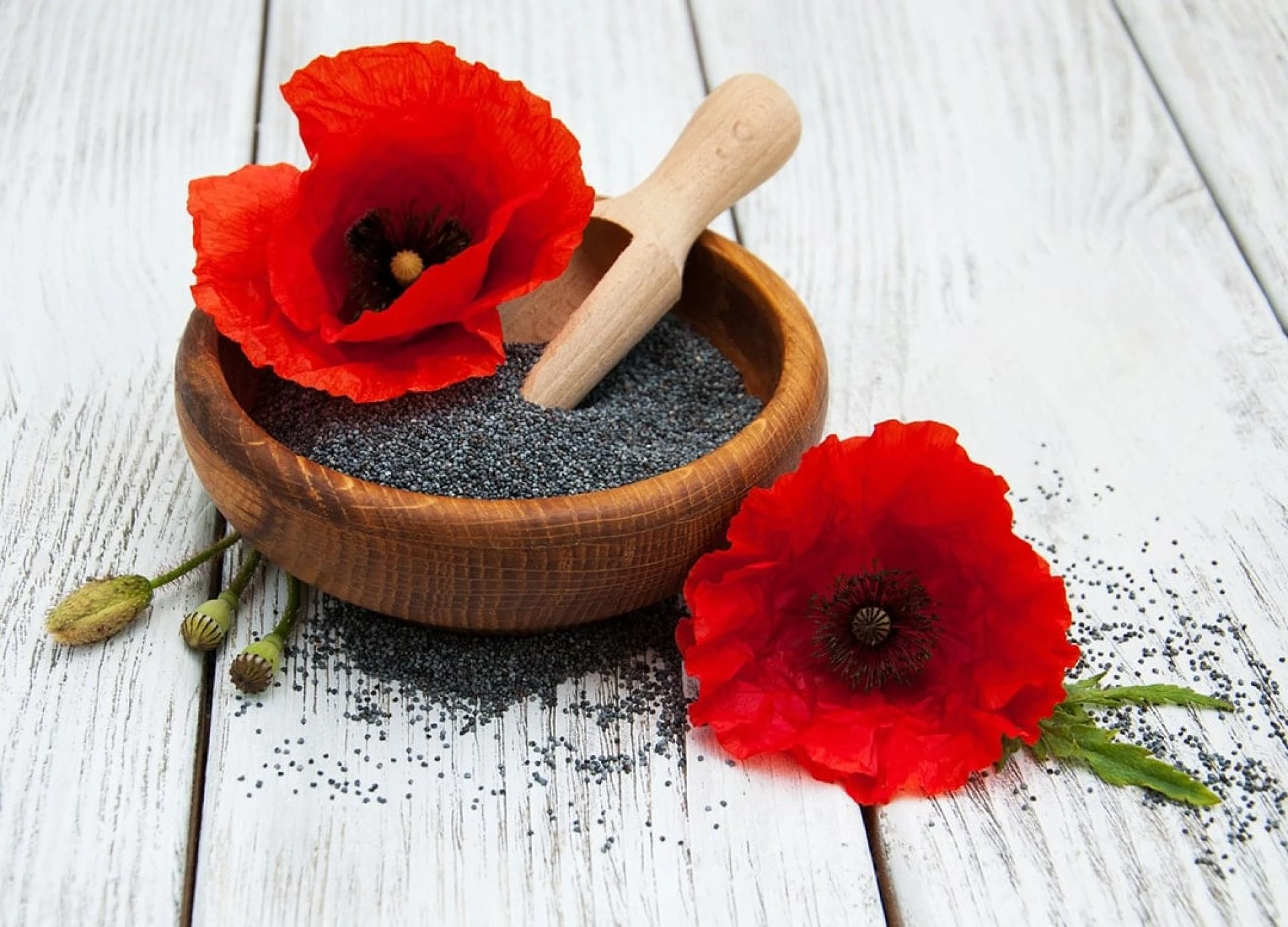 Poppy Seeds Market Key Players, Share &amp; Forecast Report to 2030