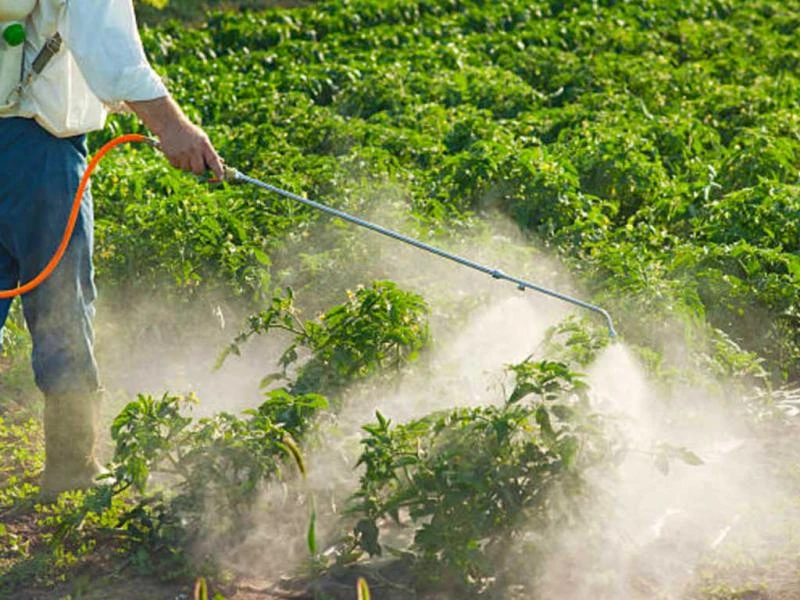 Crop Protection Chemicals Market Trends, Share &amp; Forecast Report to 2030