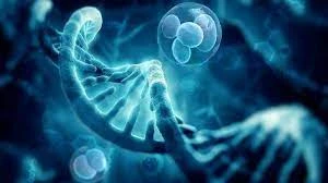 Transfection Technology Market Trends, Share &amp; Latest Trades Report to 2030