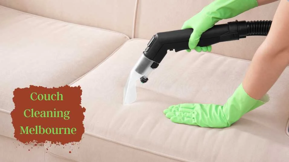How to Maintain Your Couch Between Professional Cleanings?