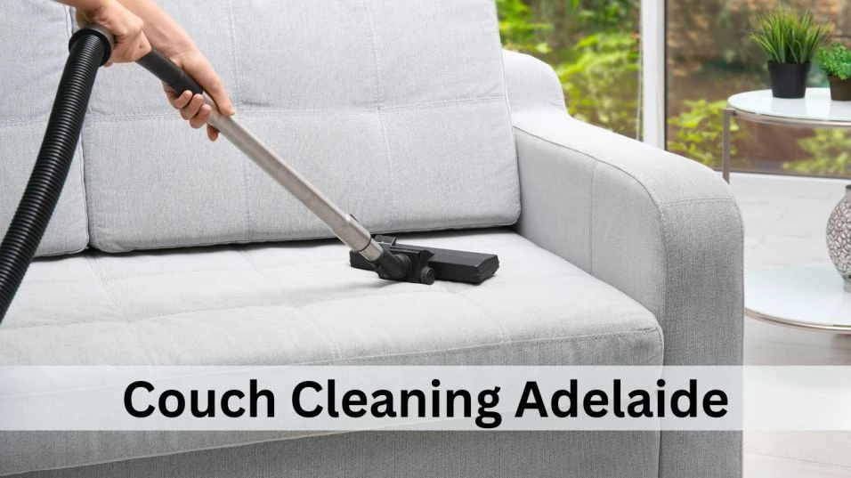 What Should I Expect From a Professional Couch Cleaner?