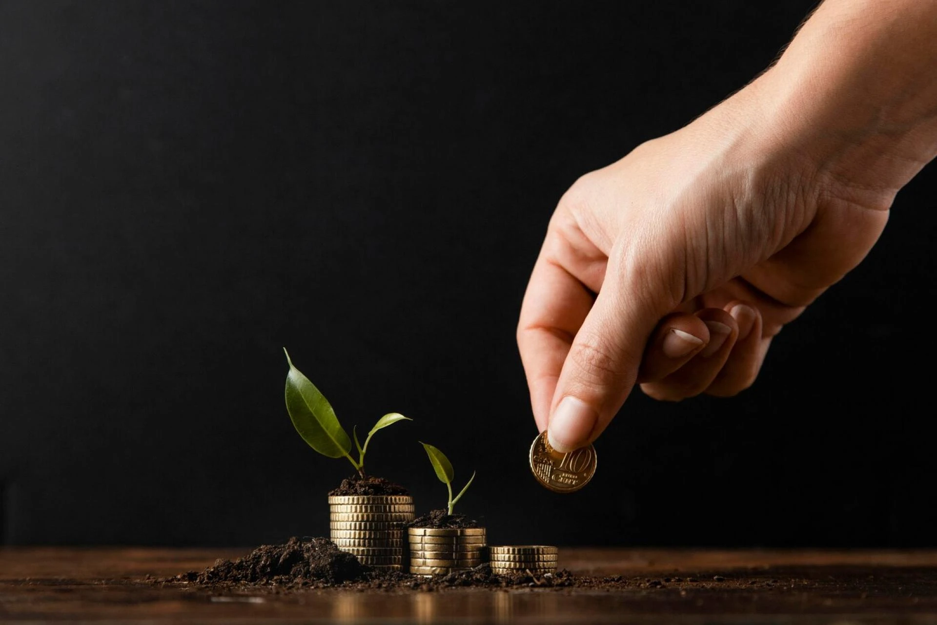 Save N Grow, a Premier Investment Consultant in Delhi, Offers Expert Guidance
