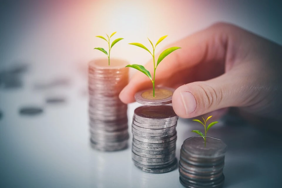 Save N Grow: Your Trusted Mutual Funds Advisors in Delhi