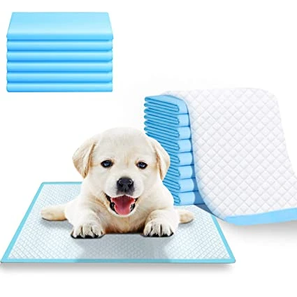 Puppy Training Pads Market 2022 Size, Dynamics &amp; Forecast Report to 2028