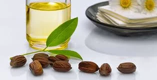 Jojoba Oil Market 2022 Size, Dynamics &amp; Forecast Report to 2028