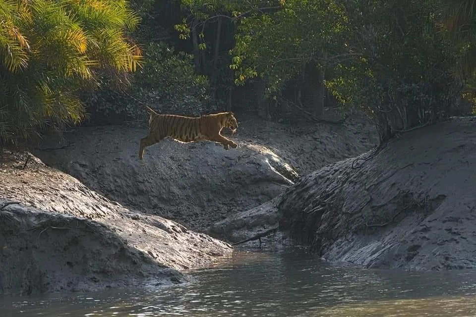 HOW CAN I PLAN MY SUNDARBAN TRIP?