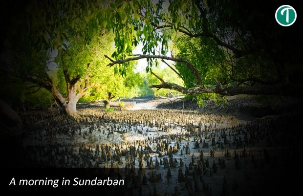 SUNDARBAN PACKAGE TOUR