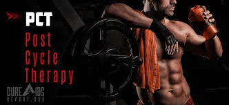 When is the best time to start your next steroids cycle?