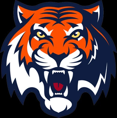 Be a Logo Digitizer And Make Money Online