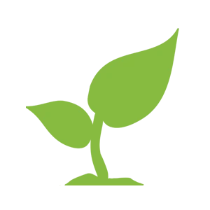 Extremely simple exercises to help the brain become more sensitive