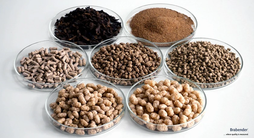 Aquaculture Feed: Things You Should Know About