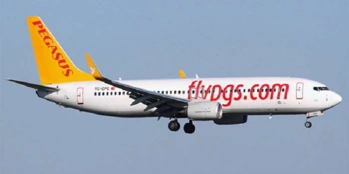 Как я могу связаться со службой поддержки Pegasus Fly?