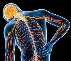 Muscle Pain - Causes, Types &amp; Best Treatment