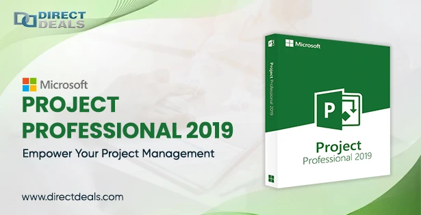 MS Project Professional 2019: Empower Your Project Management