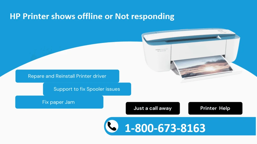 Why is my new HP Printer Offline or Not Responding?