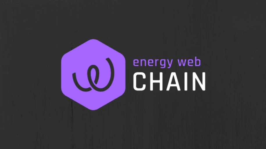 Interoperability in Energy Web Chain Networks: Bridging the Gap for a Connected Energy Ecosystem