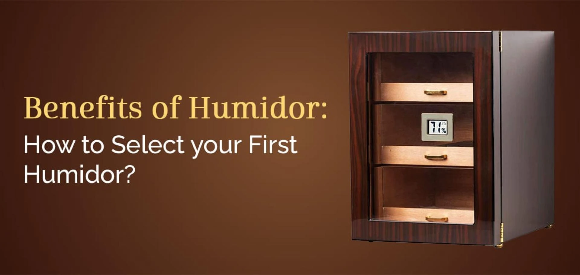 Benefits of Humidor: How to Select Your First Humidor?