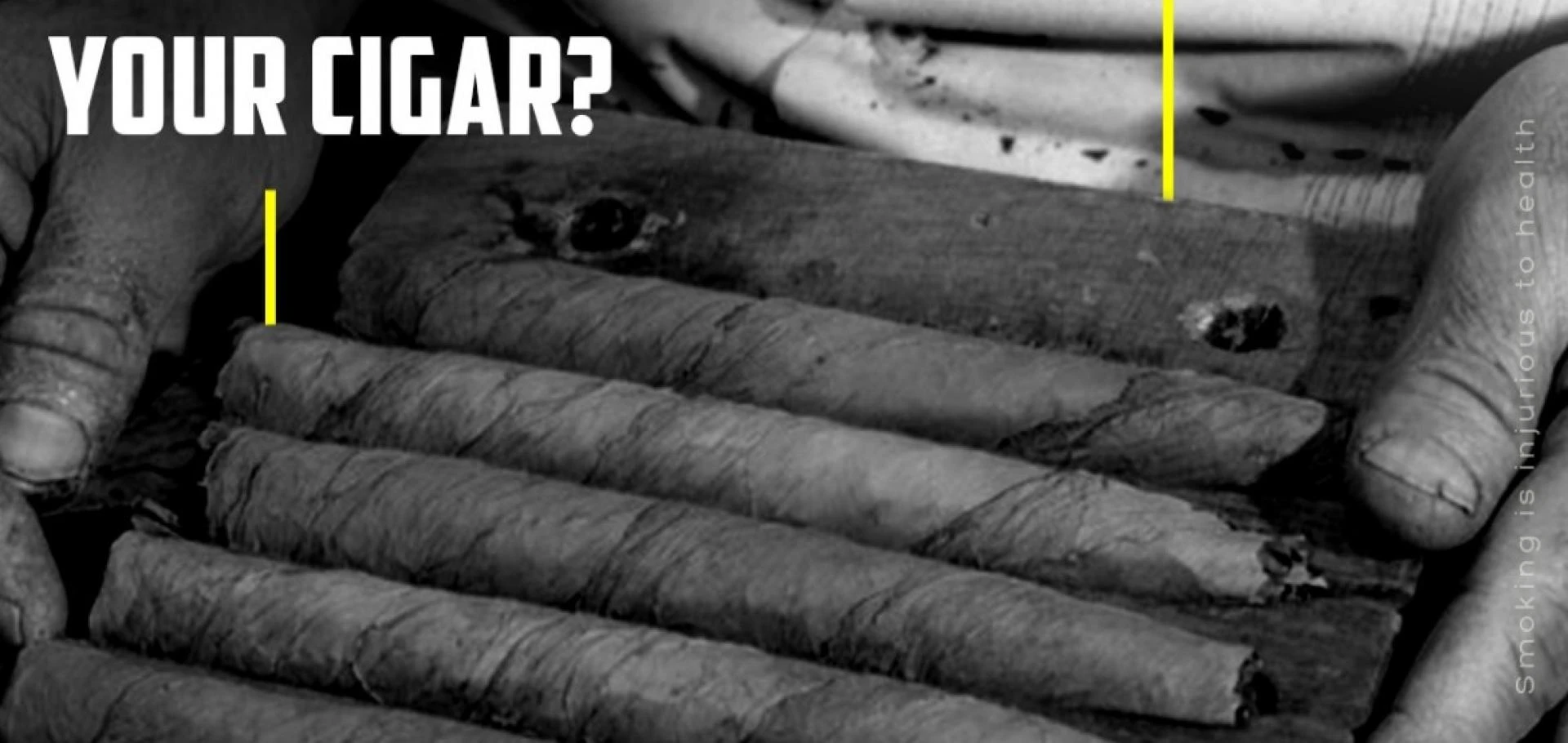 Did You Know Your Cigar?