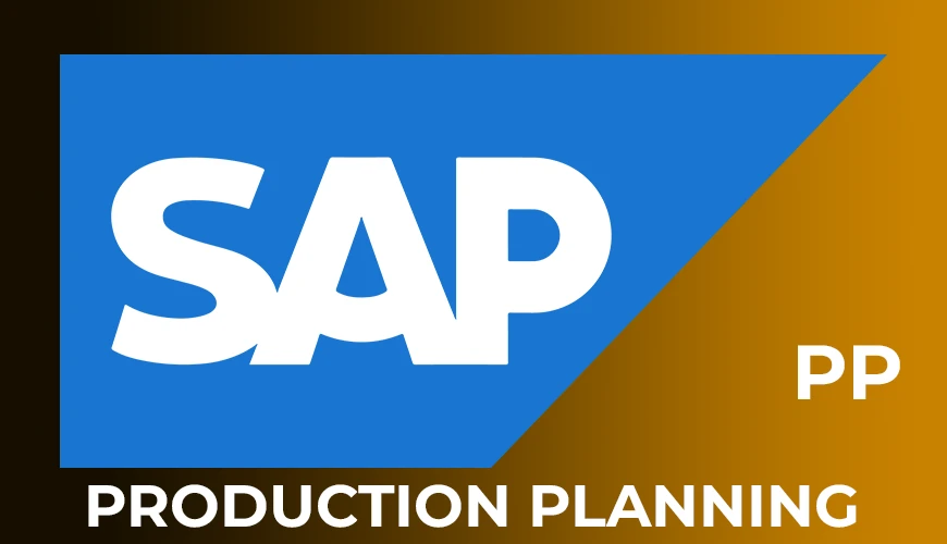 SAP PP Online Training From Hyderabad India