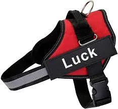Buddy harness