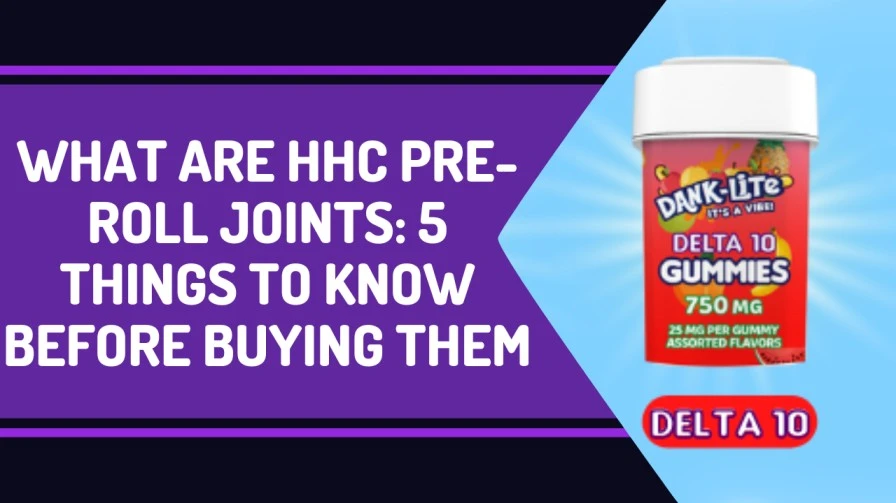 What Are HHC Pre-Roll Joints: 5 Things To Know Before Buying Them