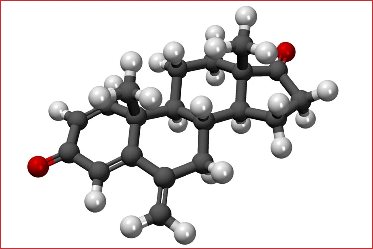 Discover Exeplex for Sale and Stop Aromatization