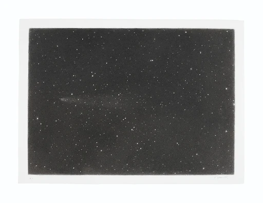 Vija Celmins: An artist, known for photo-realistic paintings and drawings of natural environments.