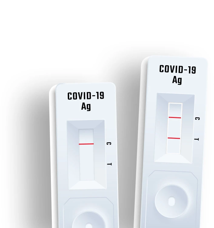 Everything You Need to Know About PCR Tests - A Complete Guide
