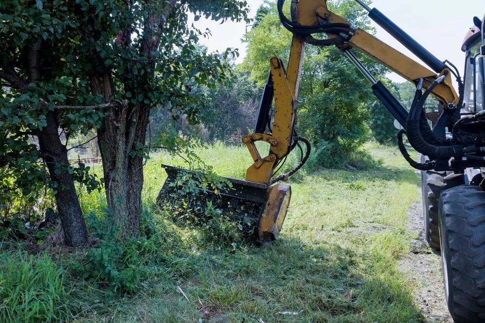 Why is Grapple Stump Removal Essential? 5 Compelling Reasons