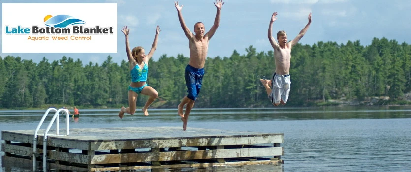 The Significance and Aesthetic Appeal of Pond Fountains for Your Lake or Pond