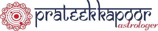 What The Best Astrologer In South Delhi Can Do For You